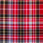 Mini Tartan Sashes